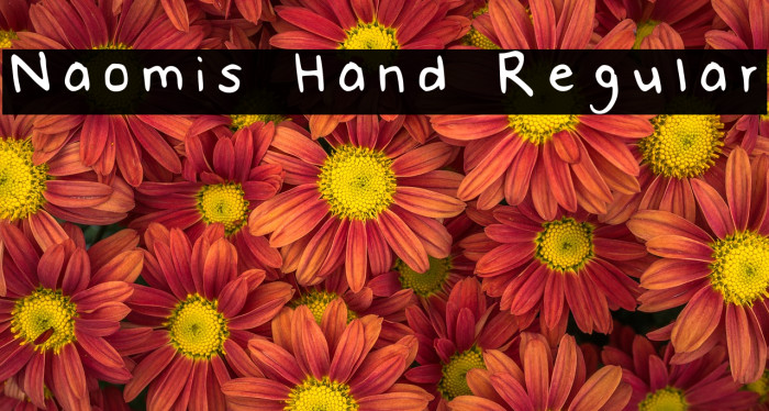 Naomis Hand Regular Example 2