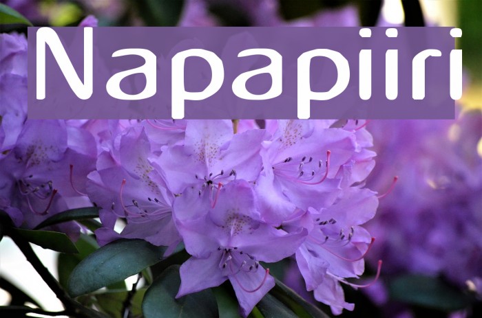 Napapiiri Font examples