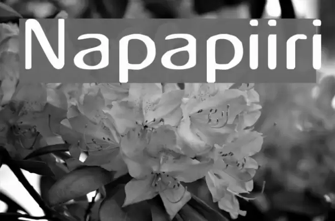 Napapiiri Font examples