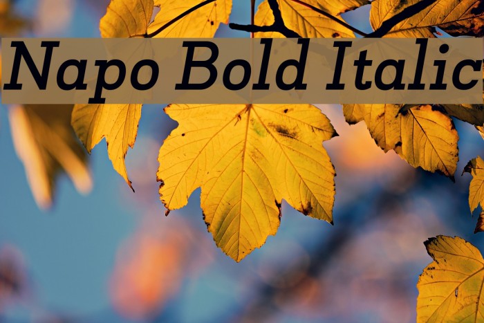 Napo Bold Italic Font examples