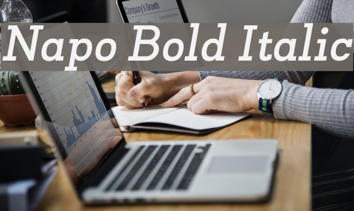 Napo Bold Italic Font examples