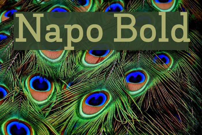 Napo Bold Font examples