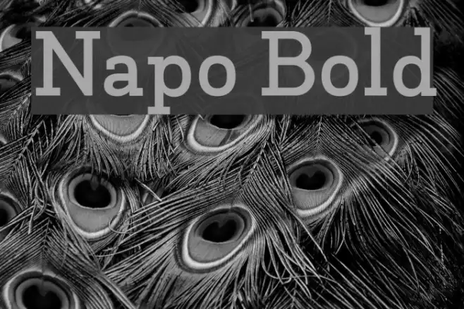 Napo Bold Example 2
