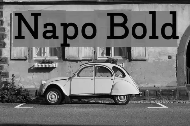 Napo Bold Example 3