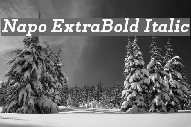 Napo ExtraBold Italic Font examples