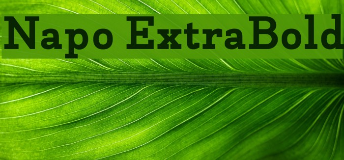 Napo ExtraBold Font examples