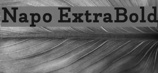 Napo ExtraBold Font examples