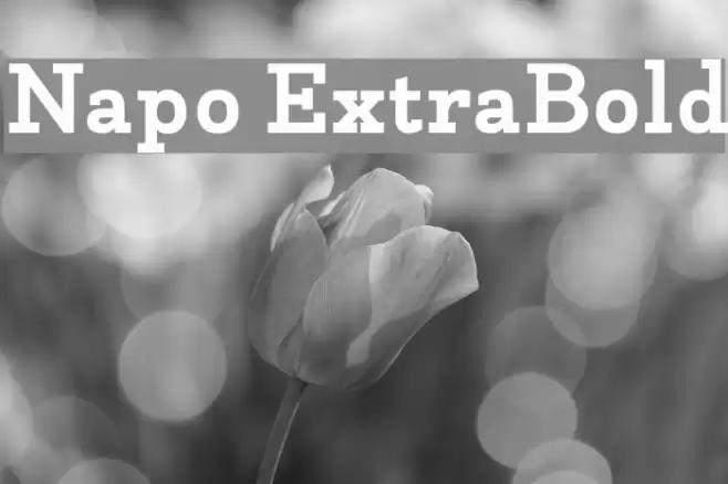 Napo ExtraBold Font examples