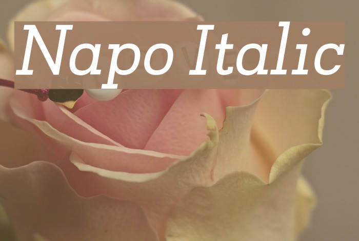 Napo Italic Font examples