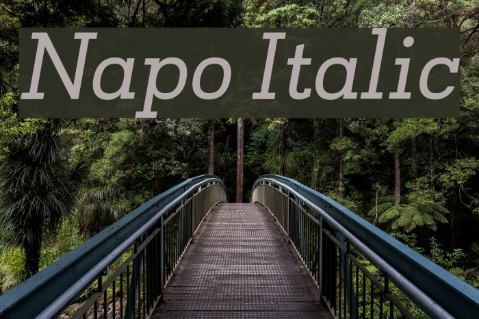 Napo Italic Font examples
