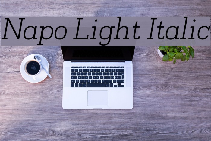 Napo Light Italic Font examples