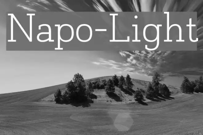 Napo-Light Example 3