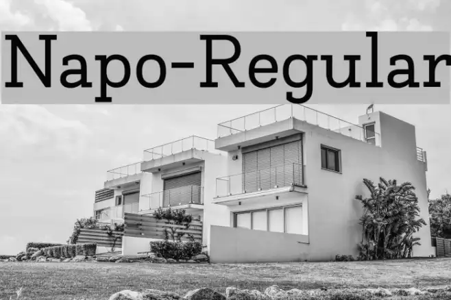 Napo-Regular Example 1