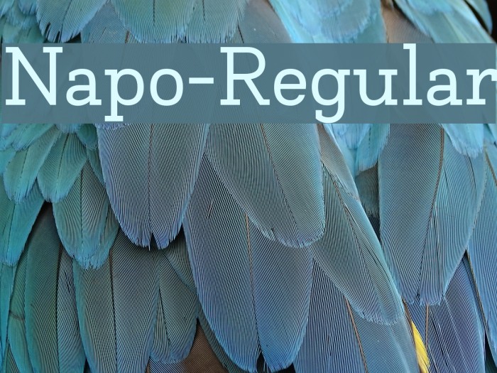 Napo-Regular Font examples