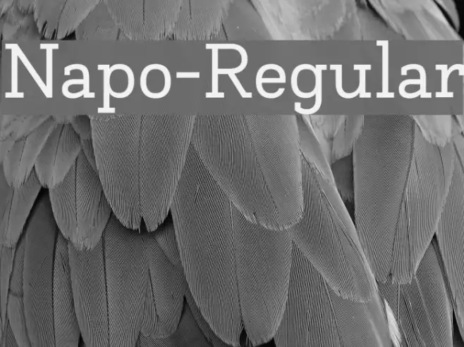 Napo-Regular Example 2