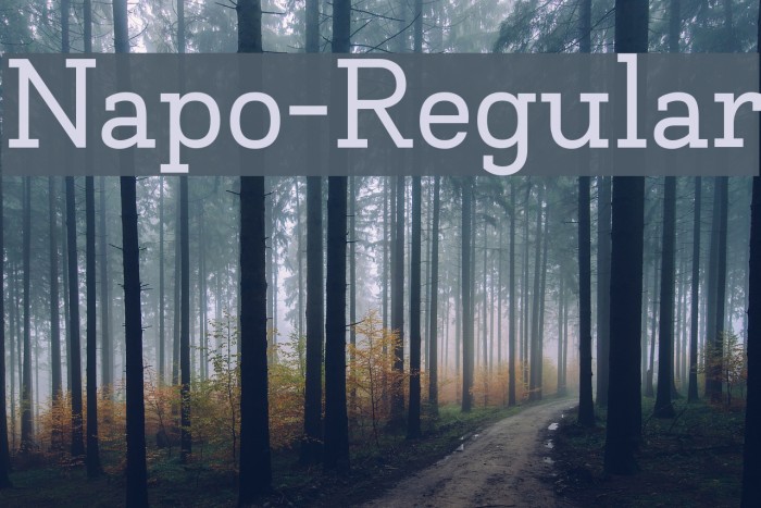 Napo-Regular Font examples