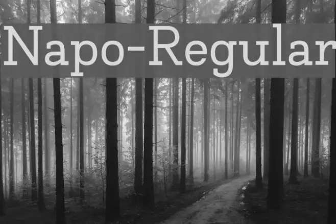 Napo-Regular Example 3