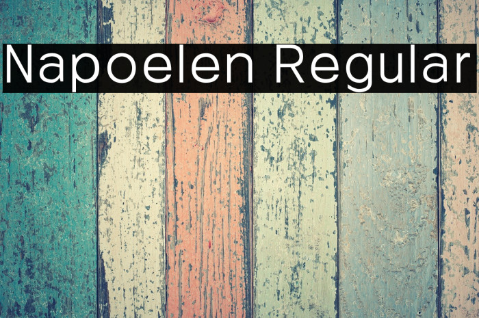 Napoelen Regular Example 3