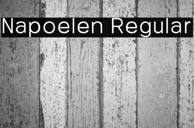 Napoelen Regular Example 3