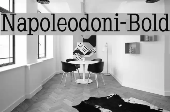 Napoleodoni-Bold Шрифта examples
