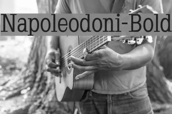 Napoleodoni-Bold Шрифта examples