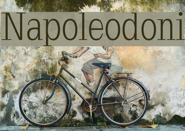 Napoleodoni Font examples