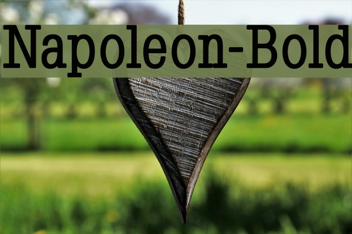 Napoleon-Bold Font examples