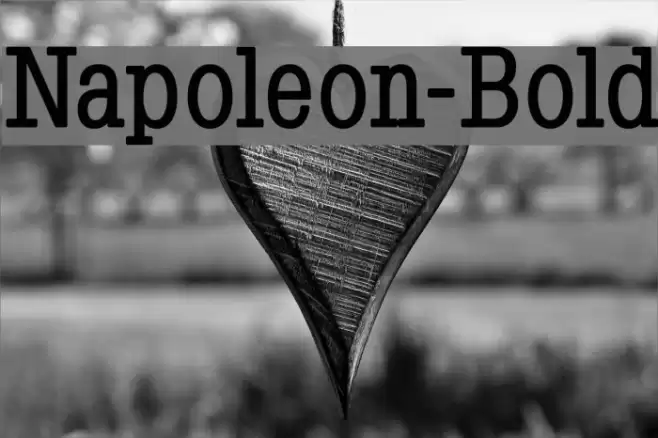 Napoleon-Bold Шрифта examples