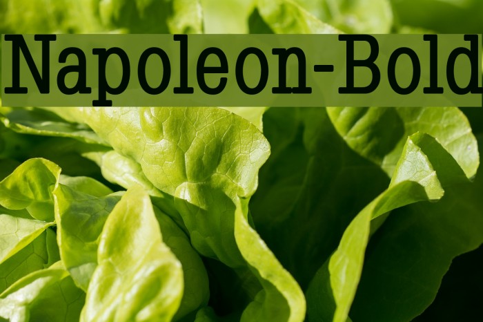 Napoleon-Bold Font examples