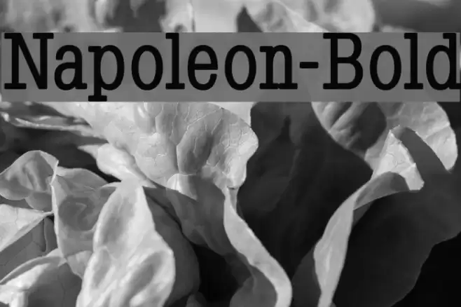 Napoleon-Bold Шрифта examples