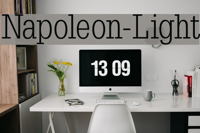 Napoleon-Light Шрифта examples