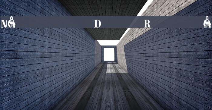 NapoleonDemo Regular Font examples