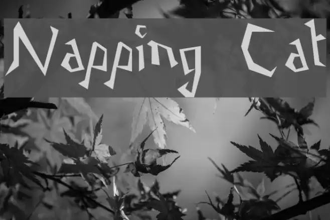 Napping Cat Font examples