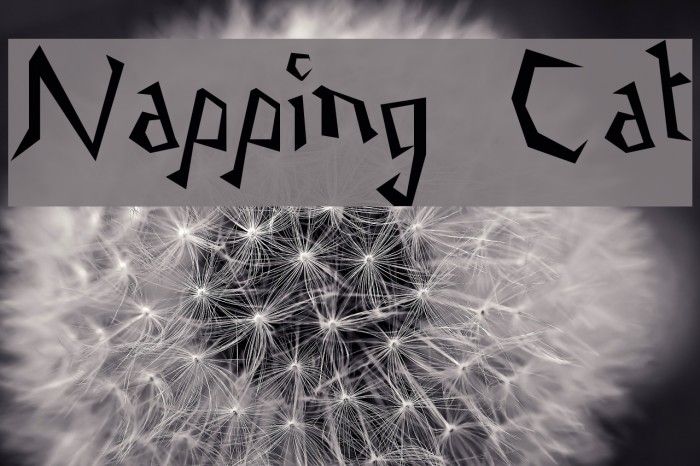 Napping Cat Font examples