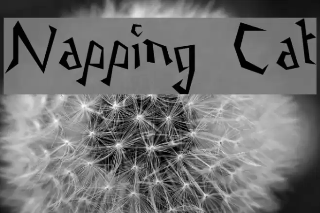Napping Cat Font examples