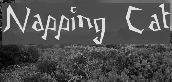 Napping Cat Font examples