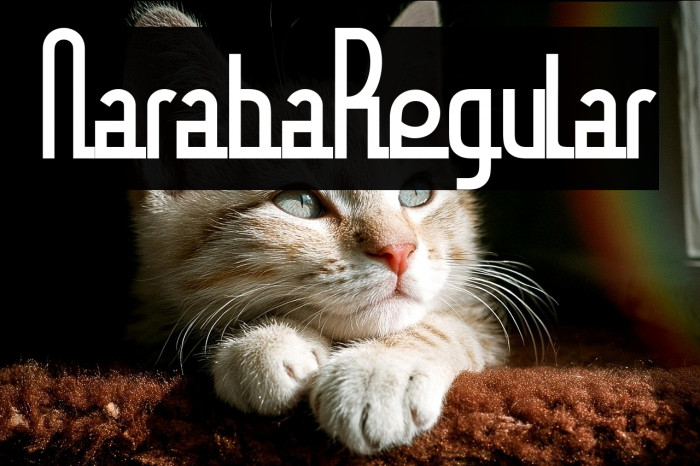 Naraba Regular Example 1