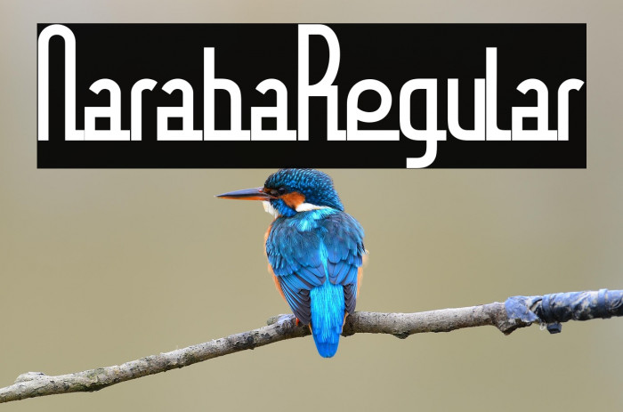 Naraba Regular Example 3