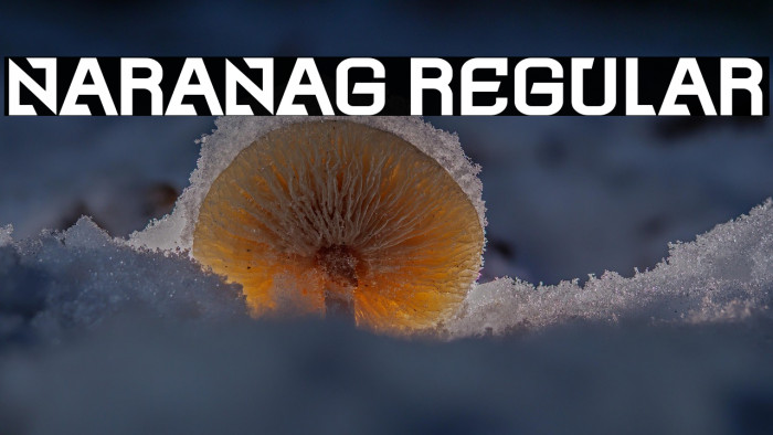 Naranag Regular Example 1