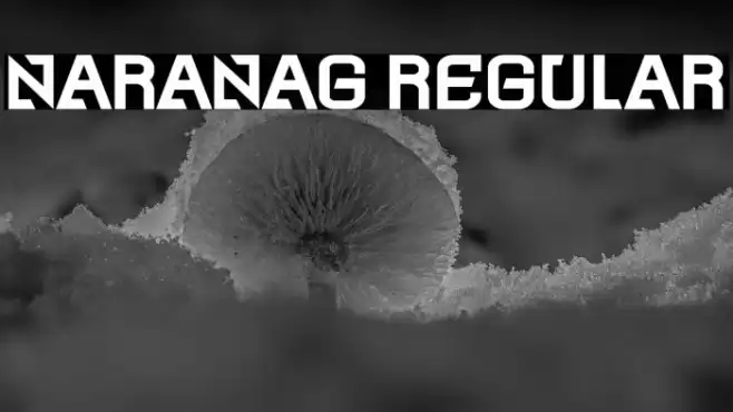 Naranag Regular Font examples