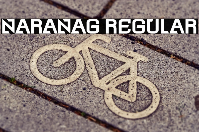 Naranag Regular Example 2