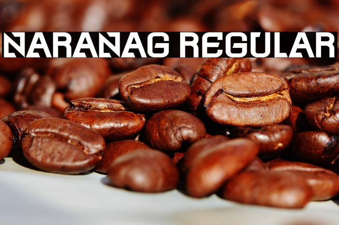 Naranag Regular Example 3