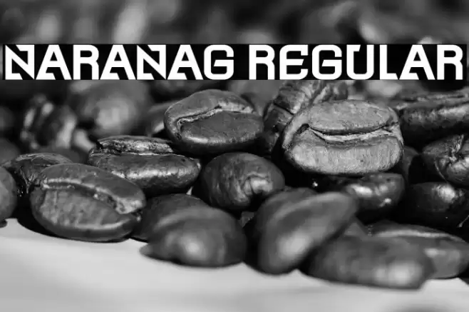 Naranag Regular Font examples