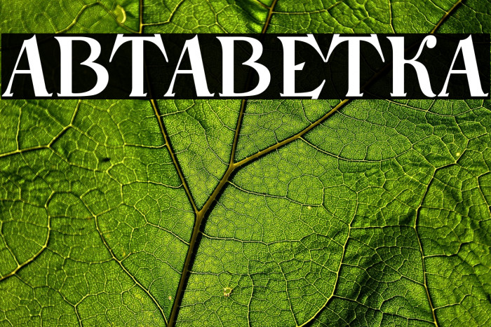 NarbutAbetka Example 2