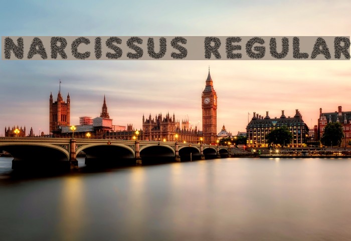 Narcissus Regular Font examples
