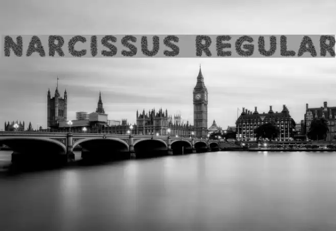 Narcissus Regular Font examples