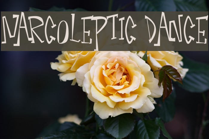 Narcoleptic Dance Font examples
