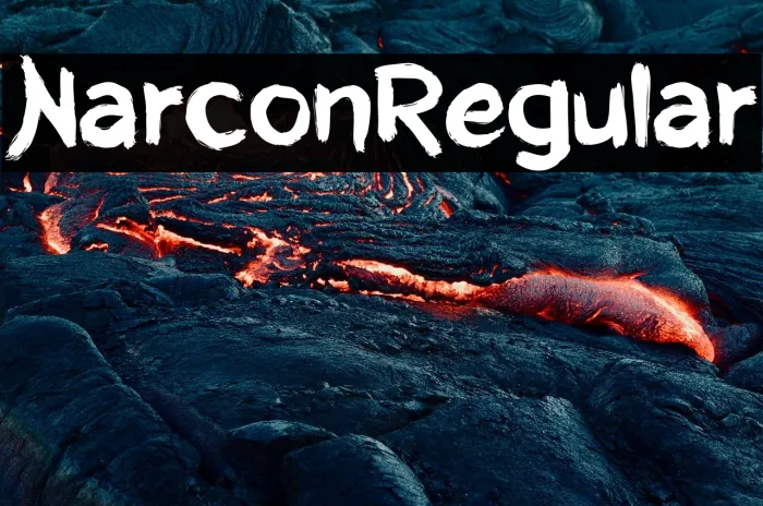 NarconRegular Example 2
