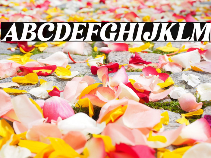 Narifah Italic Example 1