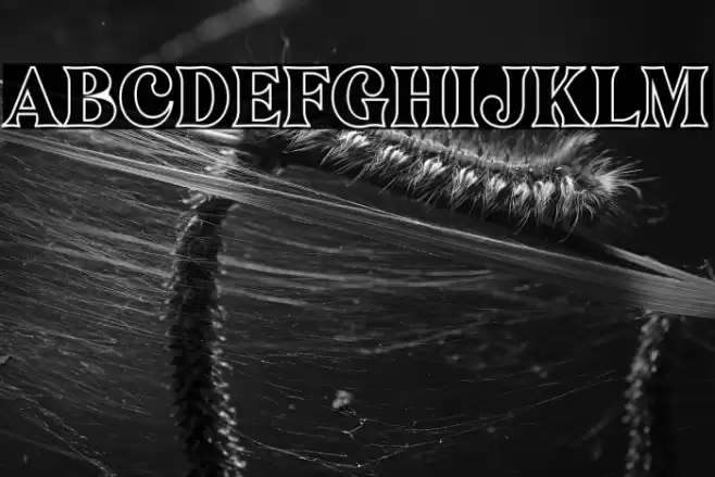 Narifah Outline Font examples